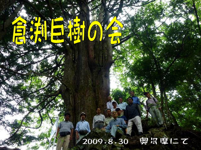 倉渕巨樹の会
