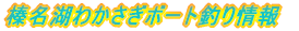 �킩�����{�[�g�ނ���