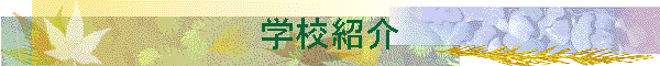 wZЉ