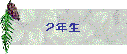 QN