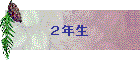 QN