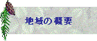 n̊Tv