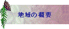 n̊Tv
