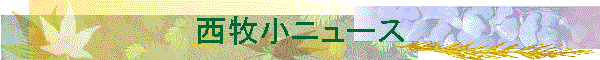 qj[X