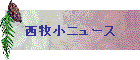 qj[X