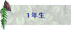 PN