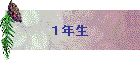 PN