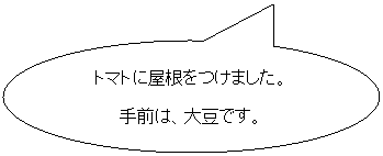 pێlp`o: ڂŁ@@@@ڂX[v邼I
