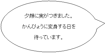 pێlp`o: ڂŁ@@@@ڂv邼I
