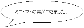 pێlp`o: g}gŁ@@@@@@~[g\[X́@@XpQbeB[邼I

